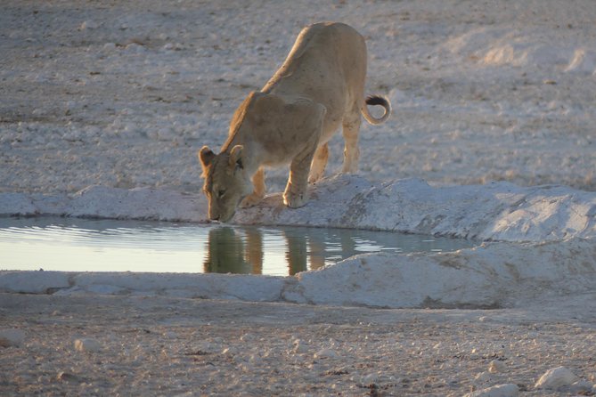 10 Namibia Adventures - Sesriem Dunes Hike