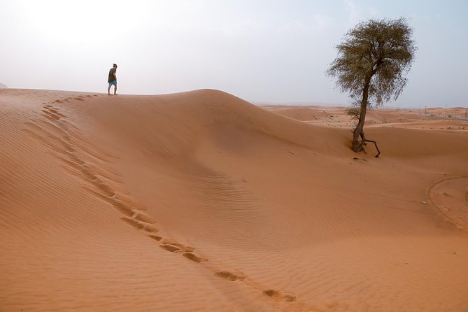 10 Namibia Adventures - Convenient Transport and Logistics
