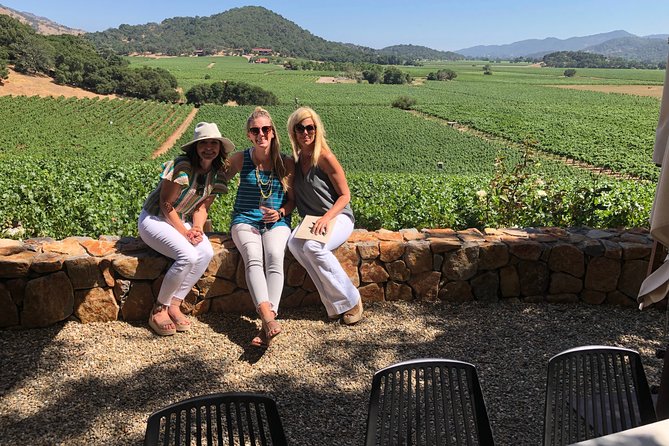 10 Passenger Luxury Sprinter Van Tour of Napa Sonoma Wine Country - Hassle-Free Transportation