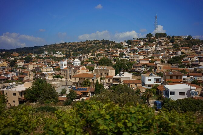 100% Cyprus - Tour to Troodos Mountains and Villages (From Paphos) - Lambouri Winery: Taste of Cypriot Terroir
