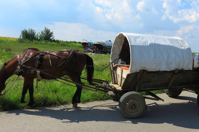 100 Km by Bike Near Bucharest - Booking Information