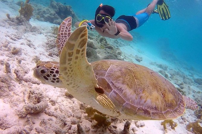 100% Private Snorkel & Sail Charter (Cruisefriendly) - Customer Reviews