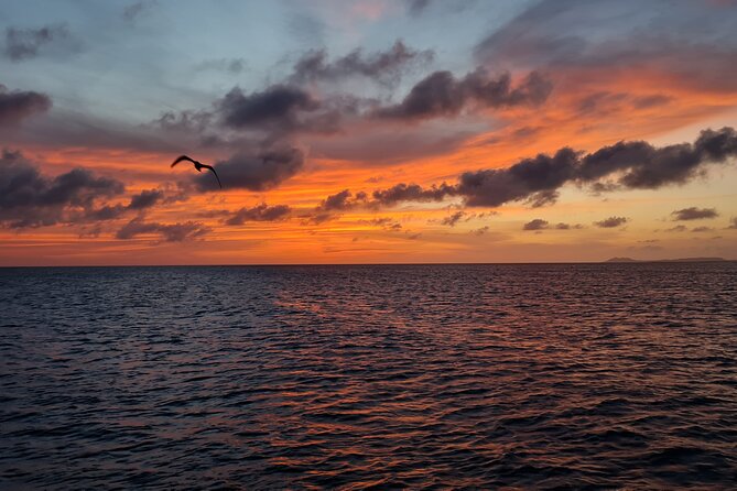 100% Private Sunset Sail on the Most Spacious Monohull of Bonaire - Meeting Point and Logistics
