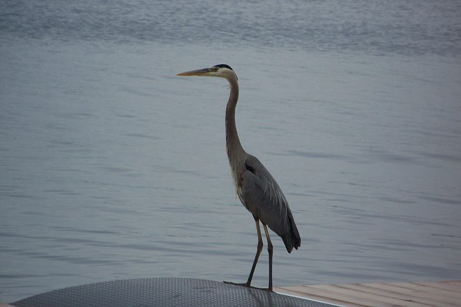 1000 Islands Canada (No Passports Required, Departing From the US - Canadian Admiralty Islands: Crossing the Border