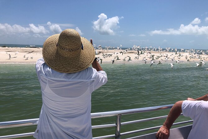 10,000 Islands Boat Excursion - 3.5-Hour Dolphins & Shelling Tour - Inclusions and Amenities