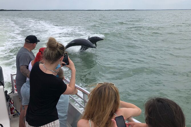 10,000 Islands Excursion Small-Group 3.5 Hour Dolphin & Shelling Boat Tour - Guided by Florida Master Naturalist