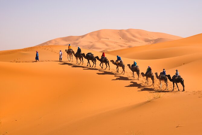 10D Morocco Tour From Tangier By Imperial Cities And South Desert - Transportation and Pickup Details