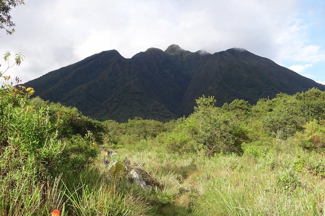 10DAYS Uganda Mountain Gorillas, Volcanoes and Lake Bunyonyi - Overview of the Tour