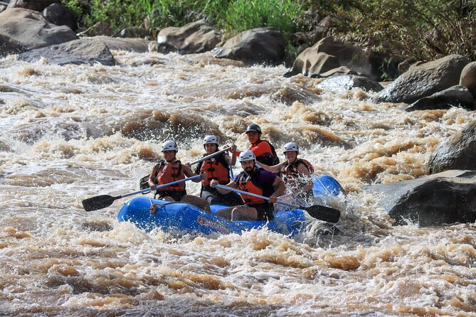 10KM Rafting With 8adventures From Chiang Mai Include Pickup & Lunch - Destination Highlights