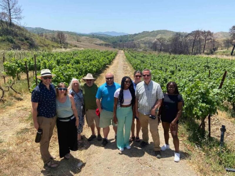 11 Course Lunch, Wine Tasting & Cooking Mastery in Rhodes - Explore the Vineyards of Rhodes