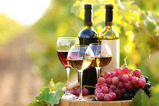 11 Course Lunch With Cooking Mastery and Wine Tasting in Rhodes - Immersive Greek Culinary Journey