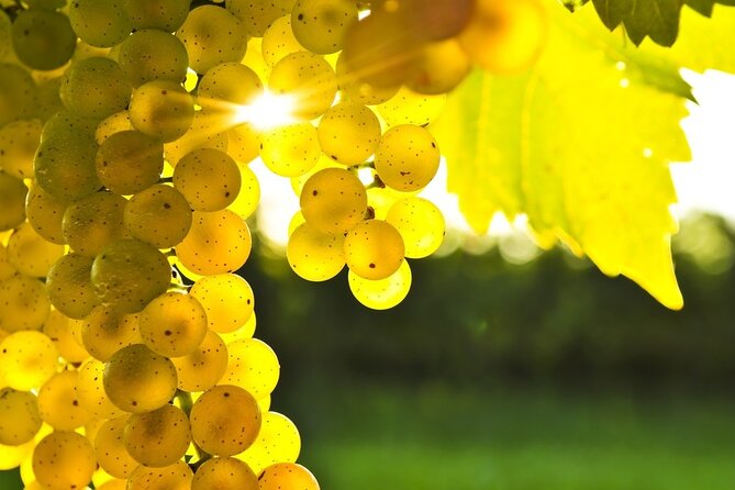11 Course Lunch With Cooking Mastery and Wine Tasting in Rhodes - Cooking Class by Sommelier