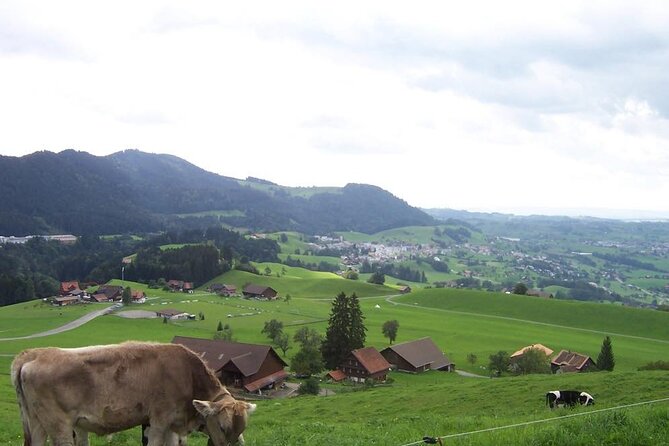 11-DAY Private Lite Tour Across Switzerland by Bike From Geneve - Moderate Physical Fitness Required