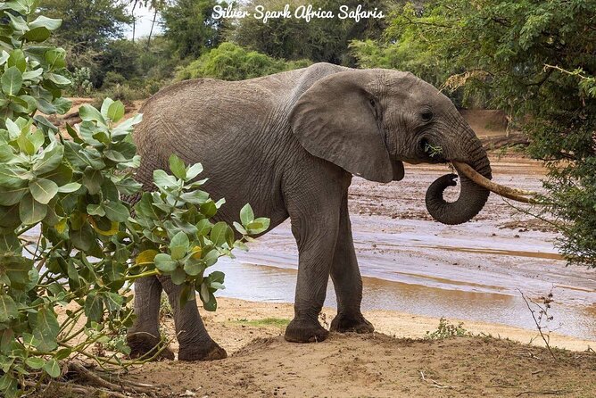 11-Day Serengeti, Maasai Mara, Tarangire, Amboseli Park - Preparing for the Adventure