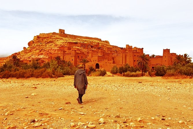 11 Days Adventurous Must-Do Morocco Cultural Tour From Casablanca - Scenic Ifrane and Atlas Mountains