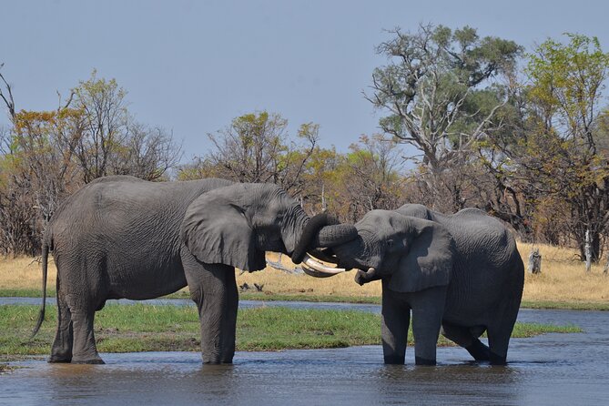 11 Days and 10 Nights Private Northern Explorer Tour - Meeting and Pickup