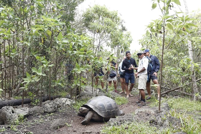 11 Days Galapagos Full Experiences Santa Cruz- Isabela - San Cristobal - Iguanas of Tortuga Bay