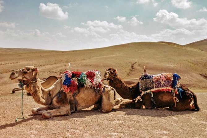 11 Days Morocco Epic Private Tour - Casablanca to Marrakesh via Chaouen & Desert - Majestic Sahara Desert