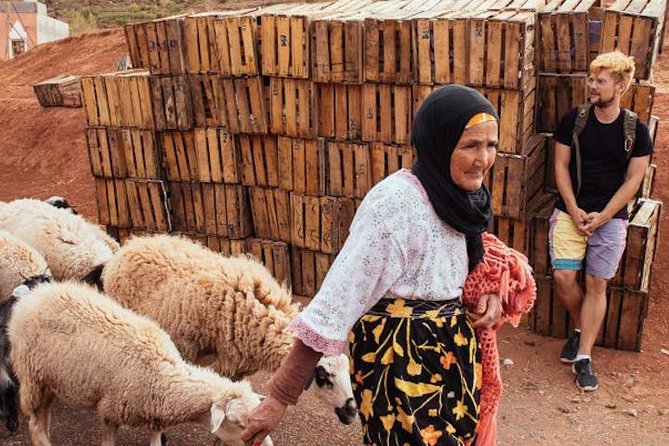 11 Days Morocco Epic Private Tour - Casablanca to Marrakesh via Chaouen & Desert - Fabulous Fes and Chefchaouen