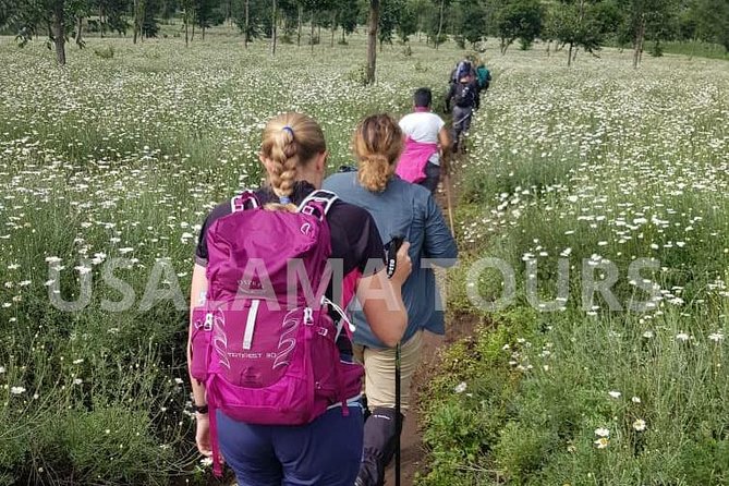 11 Days Rwanda Budgeted Safari - Gorillas & Wildlife Tours - Recap