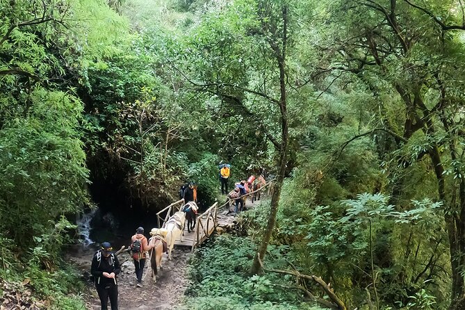 11 Days Shared Langtang Valley Trek - Accommodation and Meals