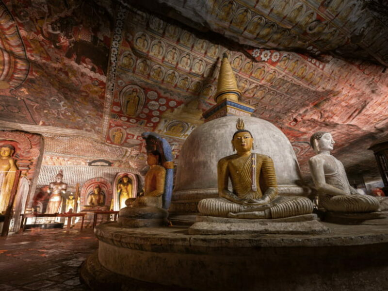 11 Days Sri Lanka Tour With Private Chauffeur & Vehicle - Key Points