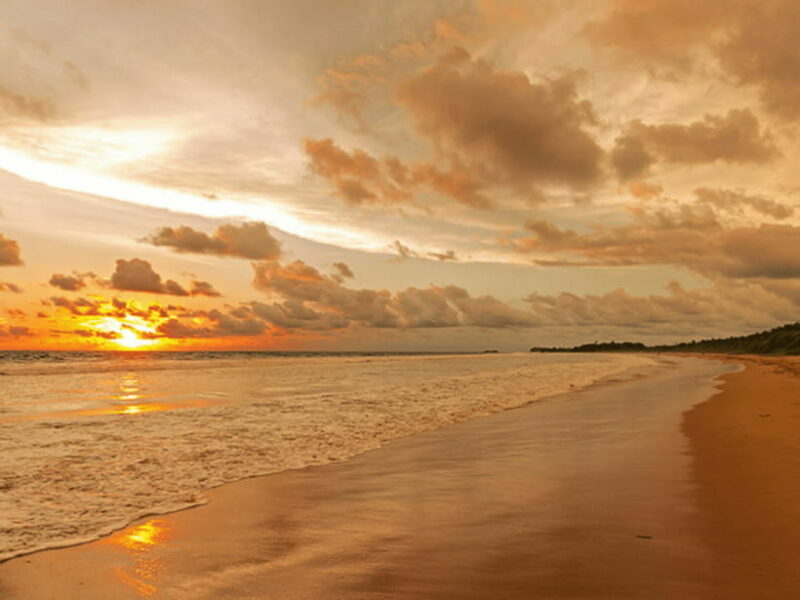 11 Days Sri Lanka Tour With Private Chauffeur & Vehicle - Frequently Asked Questions