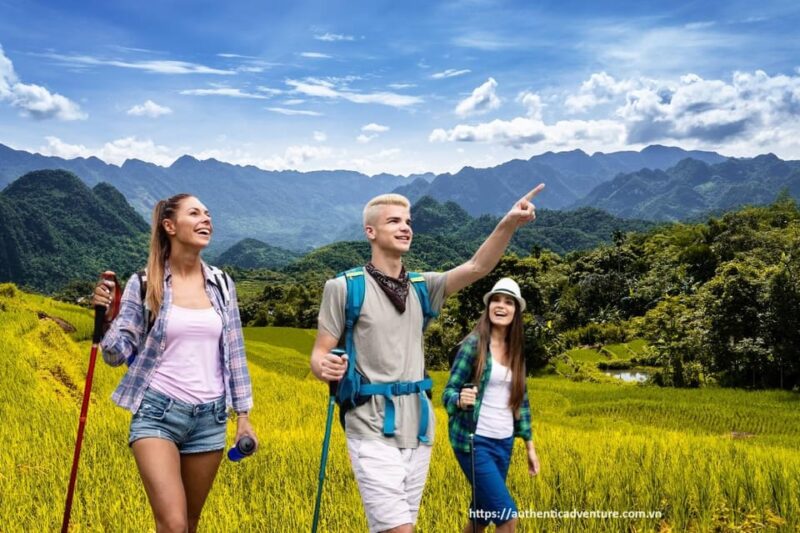 11 Days Tour Discover Vietnam | See the Best of Vietnam - Included Services