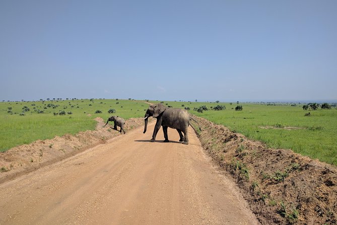 11 Days Uganda +Gorillas - Itinerary and Activities