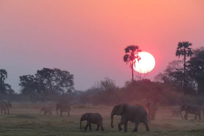 11Day WILDERNESS TRAIL:Okavango,Moremi&Chobe -WildCamping Safari +Victoria Falls - Pickup Information
