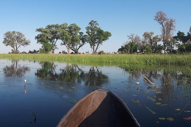 11Day WILDERNESS TRAIL:Okavango,Moremi&Chobe -WildCamping Safari +Victoria Falls - Highlights of the Safari