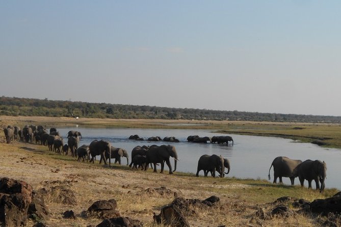 11Day WILDERNESS TRAIL:Okavango,Moremi&Chobe -WildCamping Safari +Victoria Falls - Exploring the Wilderness