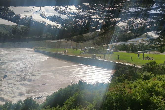 12 Apostles and Otway Fly Zipline Day Trip From Melbourne - Health and Safety Requirements