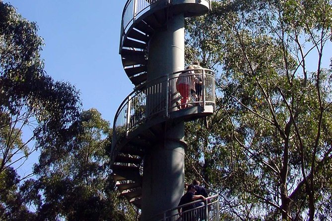 12 Apostles and Otway Fly Zipline Day Trip From Melbourne - Reviews and Feedback