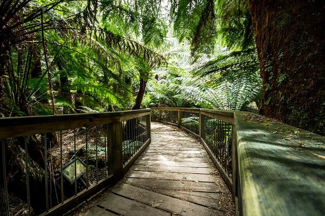 12 Apostles Great Ocean Road Eco Tour With Lunch From Melbourne - Itinerary Details