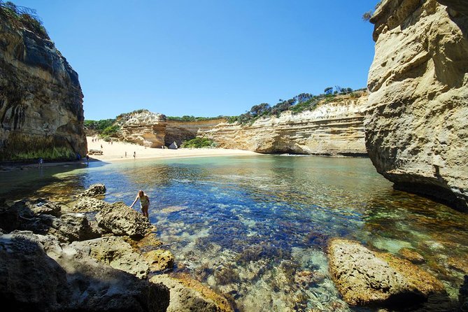 12 Apostles Great Ocean Road Eco Tour With Lunch From Melbourne - Inclusions and Pricing