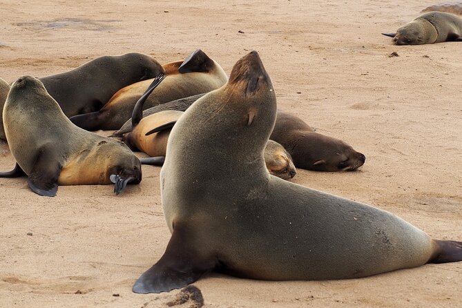 12 Day Classic Namibia Camping Safari - Cancellation Policy
