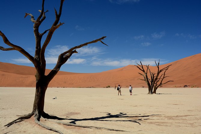 12 Day Classic Namibia Camping Safari - Packing Essentials