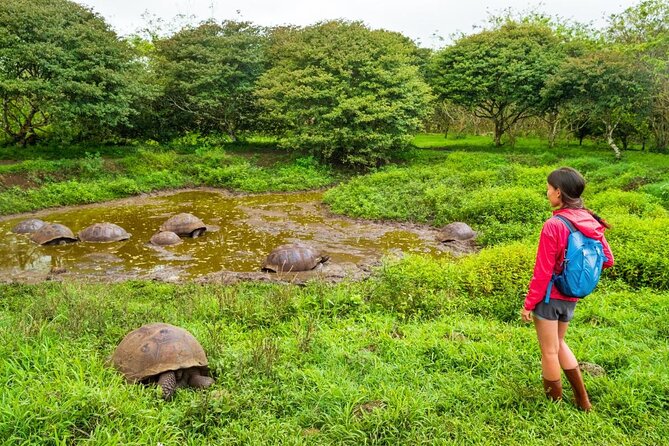 12-Day Galapagos Superior Adventure (Tourist Class) - Key Points
