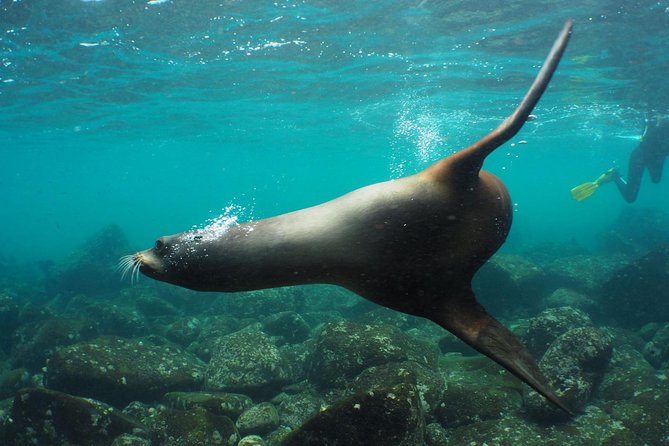 12-Day Galapagos Superior Adventure (Tourist Class) - Accommodation and Transport