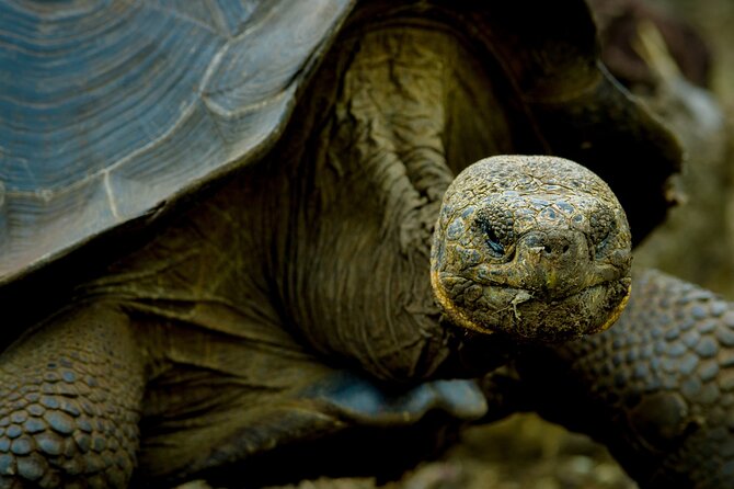 12-Day Galapagos Superior Adventure (Tourist Class) - Required Information