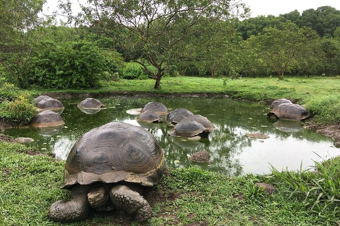 12-Day Galapagos Superior Adventure (Tourist Superior Class) - Booking and Cancellation Policy