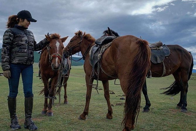 12-day Gobi and Central Mongolia Adventure - Key Points