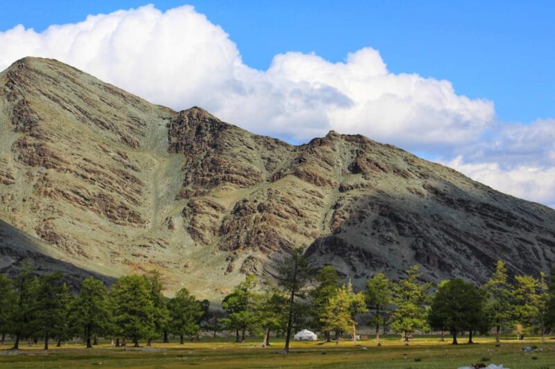 12 Day Great Gobi and Central Mongolia Full Adventure - Important Information