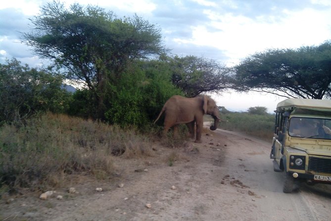 12-DAY Kenya and Tanzania Budget Private Safari From Nairobi - Meeting and Pickup Details