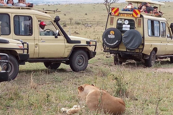 12-DAY Kenya and Tanzania Budget Private Safari From Nairobi - Guest Reviews