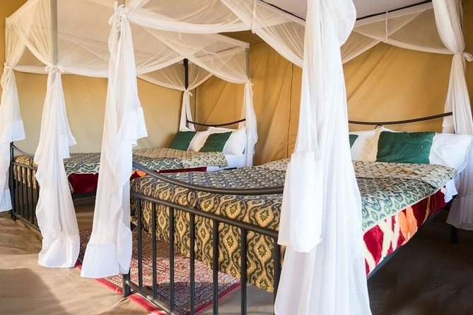 12-DAY Kenya and Tanzania Safari Private Lodge Safari From Nairobi - Inclusions and Extras