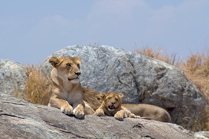 12-DAY Kenya and Tanzania Safari Private Lodge Safari From Nairobi - Destinations