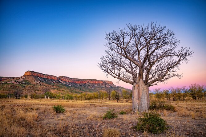 12 Day Kimberley Premium Camping Tour - Premium Camping Experience