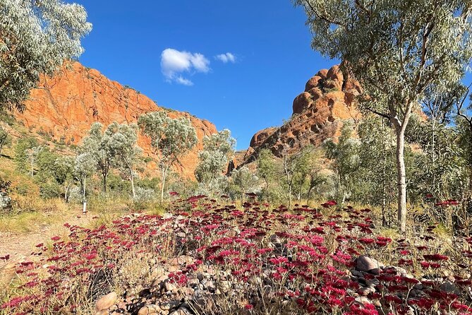 12 Day Kimberley Premium Camping Tour - Unforgettable Activities